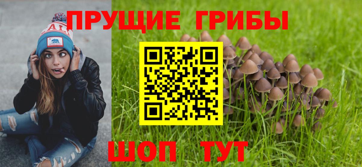 Алексин  Галлюциногенные грибы мицелий  где купить наркоту  Вход с VPN 