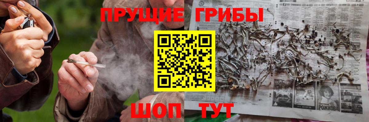 Галлюциногенные грибы GOLDEN TEACHER Алексин